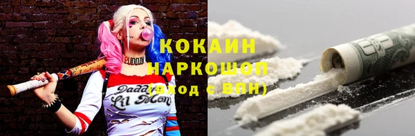 гашик Алексин
