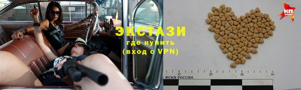 гашик Алексин