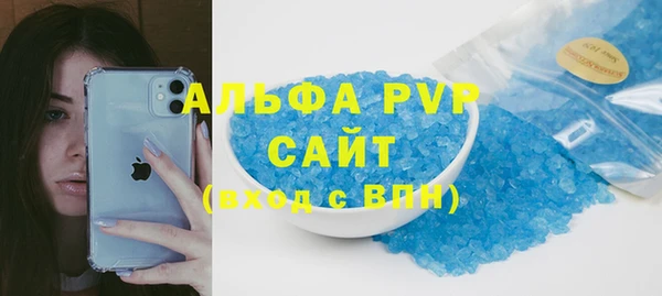 гашик Алексин
