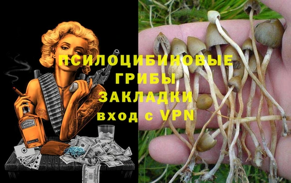 марки lsd Алексеевка
