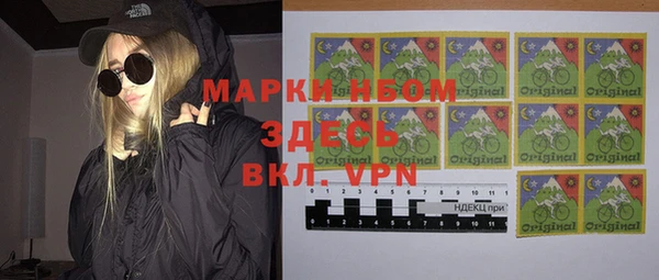 гашик Алексин