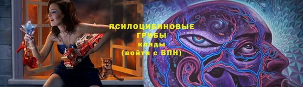 эйфоретик Алзамай