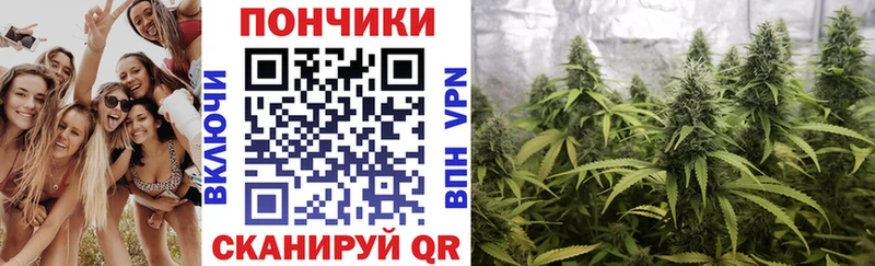 Шишки марихуана марихуана Купить где Маркс